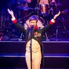 The Divine Comedy naar Antwerpen en Utrecht | Nieuws op Podiuminfo