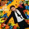 News – The Divine Comedy – Charmed Life – The Best Of The Divine Comedy | Romu Rocks