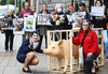 When Pigs Fly | Broadsheet.ie