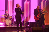 The Divine Comedy: “Charmed Life” - Der Kampf der Welt gegen Neil Hannon