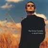 The Divine Comedy