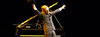 The Divine Comedy: Ein Abend mit Neil Hannon |...